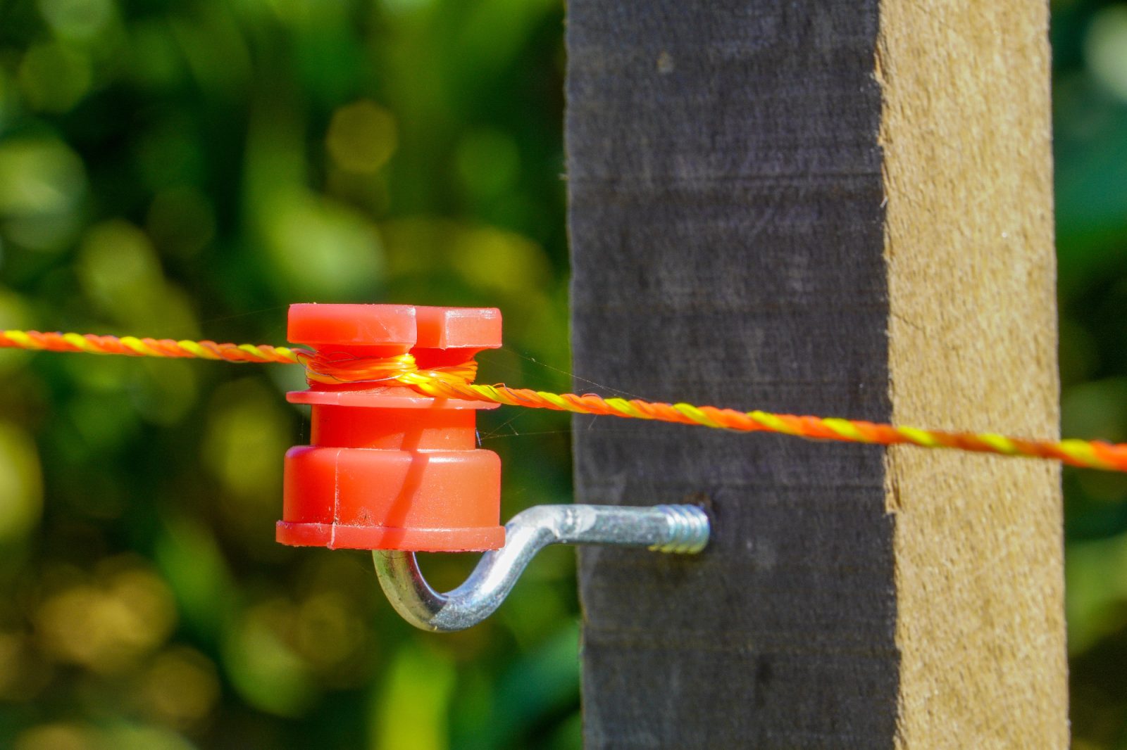 Včasih se na podeželju električni pastir bolje obnese kot ograja
